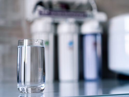 Is a Whole-House Water Filtration System Worth It?